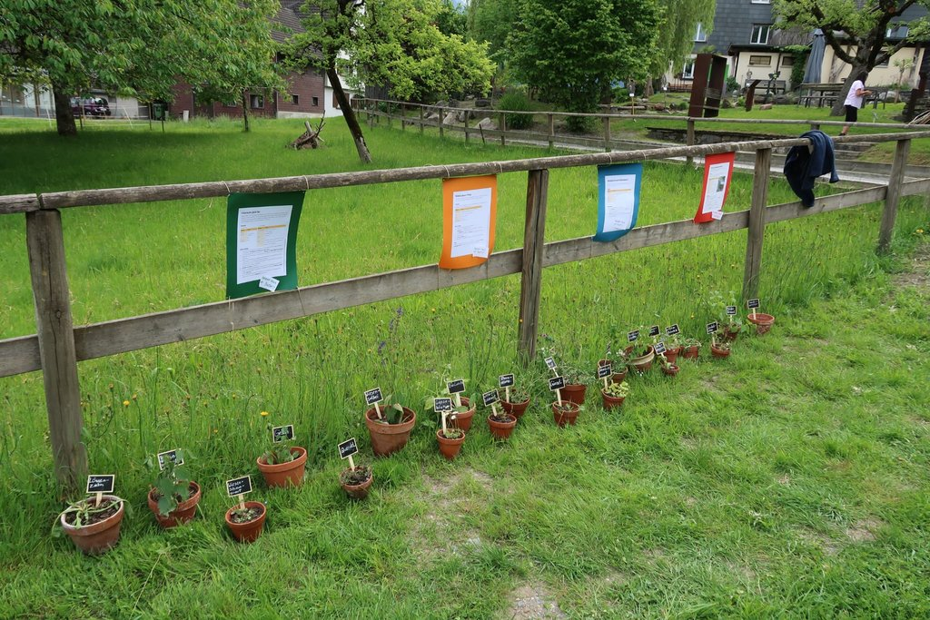 Obst- und Gartenbauverein Gofis Banner