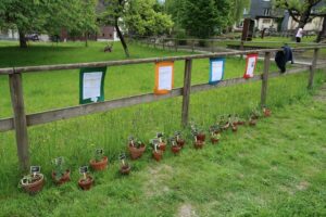 Galeriebild