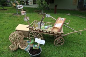 Galeriebild