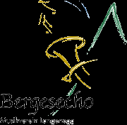 Musikverein Langenegg Logo