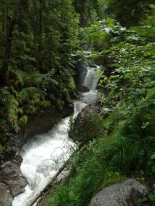 Galeriebild