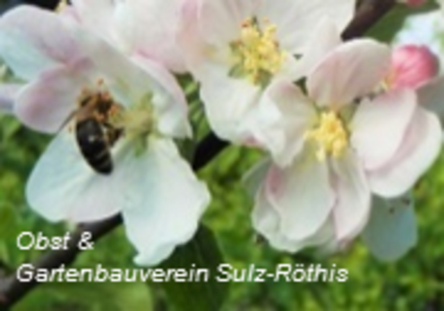 Obst- und Gartenbauverein Sulz-Rothis Logo